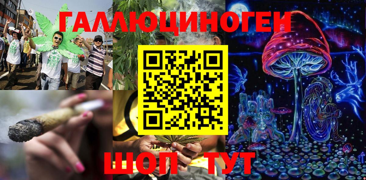 Псилоцибиновые грибы MAGIC MUSHROOMS Калининград