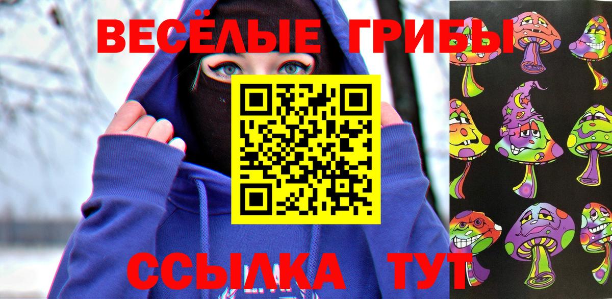 Калининград  Псилоцибиновые грибы прущие грибы  Вход с VPN 
